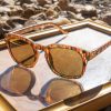 Men Volcom Sunglasses | Earth Tripper Sunglasses/Bronze Matte Geo